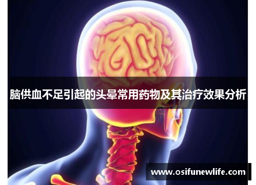 脑供血不足引起的头晕常用药物及其治疗效果分析