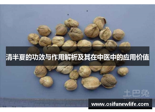 清半夏的功效与作用解析及其在中医中的应用价值